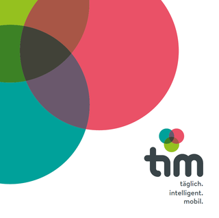 Bildtext: Logo TIM.